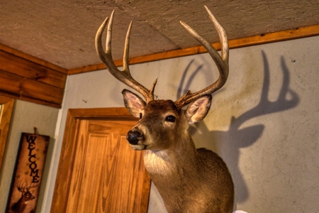 Slice of Paradise in Monroe County Wisconsin - image 26
