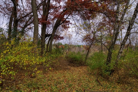 Slice of Paradise in Monroe County Wisconsin - image 32