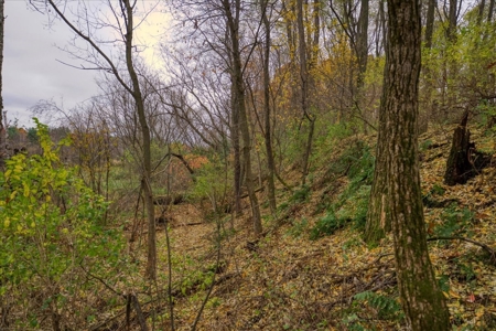 Slice of Paradise in Monroe County Wisconsin - image 30