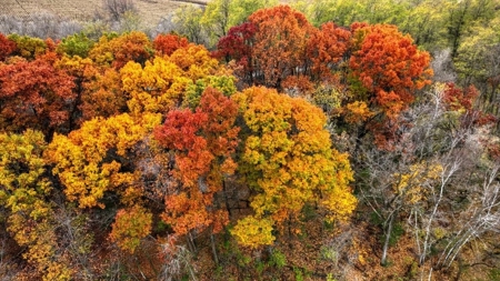 Slice of Paradise in Monroe County Wisconsin - image 23