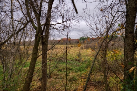 Slice of Paradise in Monroe County Wisconsin - image 31