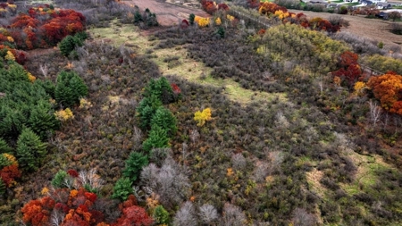 Slice of Paradise in Monroe County Wisconsin - image 13