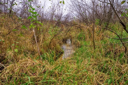 Slice of Paradise in Monroe County Wisconsin - image 35
