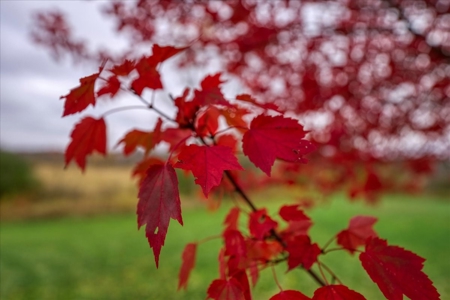 Slice of Paradise in Monroe County Wisconsin - image 28