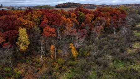 Slice of Paradise in Monroe County Wisconsin - image 21