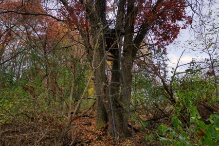Slice of Paradise in Monroe County Wisconsin - image 33