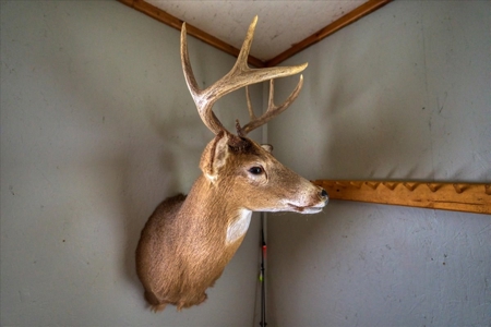 Slice of Paradise in Monroe County Wisconsin - image 27