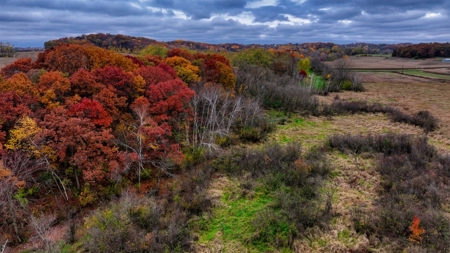 Slice of Paradise in Monroe County Wisconsin - image 22