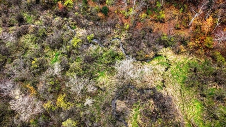 Slice of Paradise in Monroe County Wisconsin - image 20