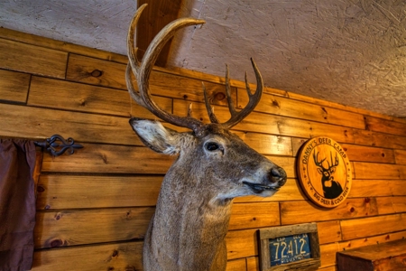 Slice of Paradise in Monroe County Wisconsin - image 25