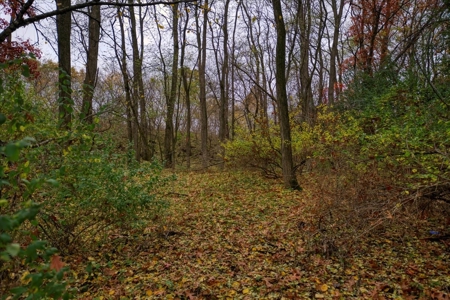 Slice of Paradise in Monroe County Wisconsin - image 34