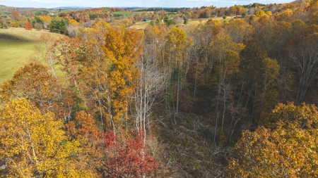 Offering #5 Partially Wooded Tract of Land for Sale in Floyd - image 14