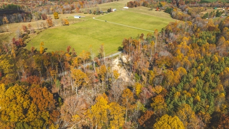Offering #5 Partially Wooded Tract of Land for Sale in Floyd - image 8