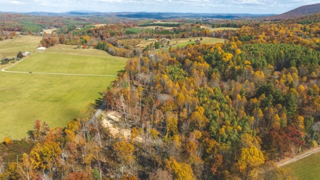 Offering #5 Partially Wooded Tract of Land for Sale in Floyd - image 9