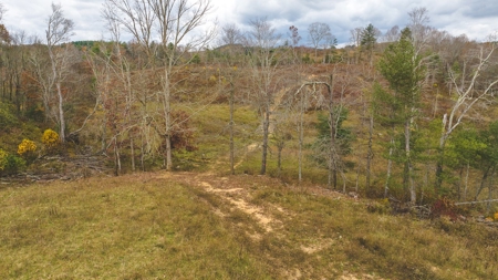 Offering #5 Partially Wooded Tract of Land for Sale in Floyd - image 17