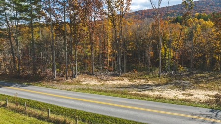 Offering #5 Partially Wooded Tract of Land for Sale in Floyd - image 4