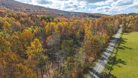 Offering #5 Partially Wooded Tract of Land for Sale in Floyd - image 1