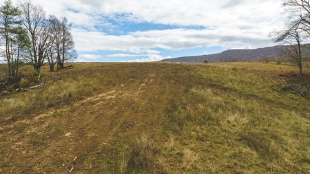 Offering #5 Partially Wooded Tract of Land for Sale in Floyd - image 21