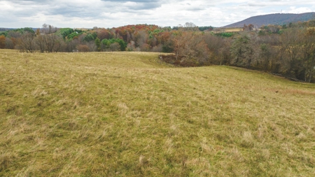 Offering #5 Partially Wooded Tract of Land for Sale in Floyd - image 26