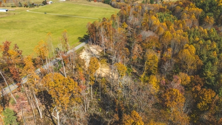 Offering #5 Partially Wooded Tract of Land for Sale in Floyd - image 6