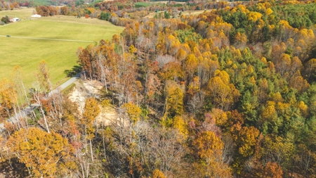 Offering #5 Partially Wooded Tract of Land for Sale in Floyd - image 7