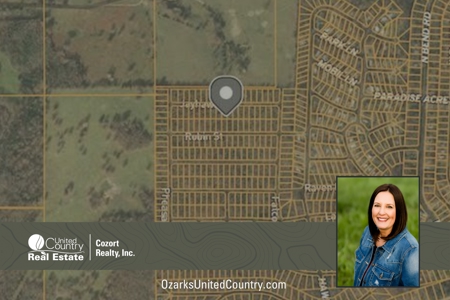 Land For Sale near Lake in Arkansas - image 1