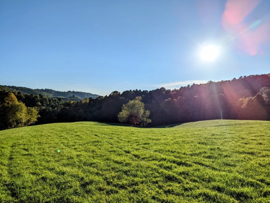Open Land for Sale in Pilot VA