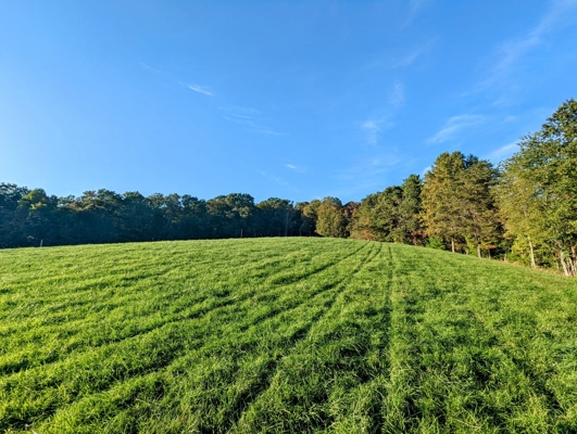 Open Land for Sale in Pilot VA