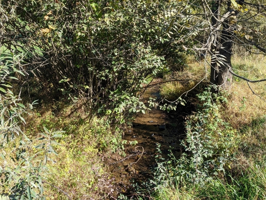 Open Land for Sale in Pilot VA