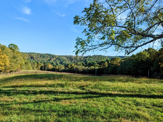 Open Land for Sale in Pilot VA
