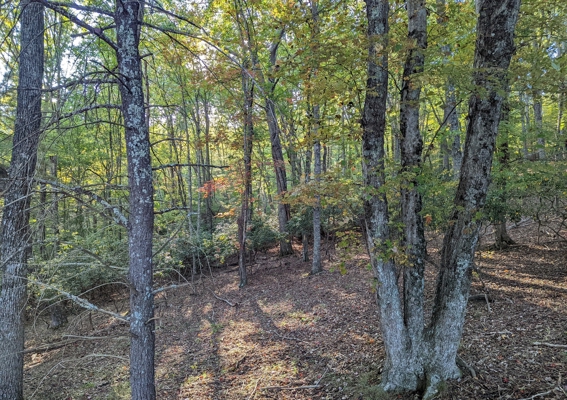Open Land for Sale in Pilot VA