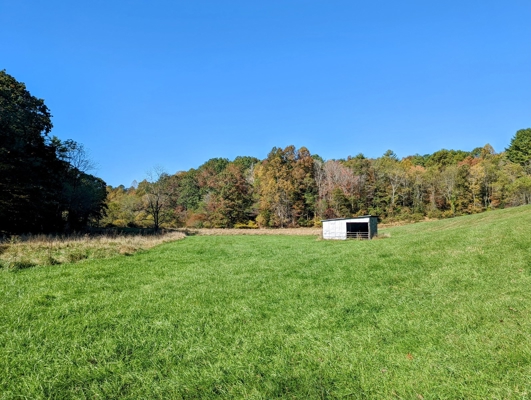 Open Land for Sale in Pilot VA