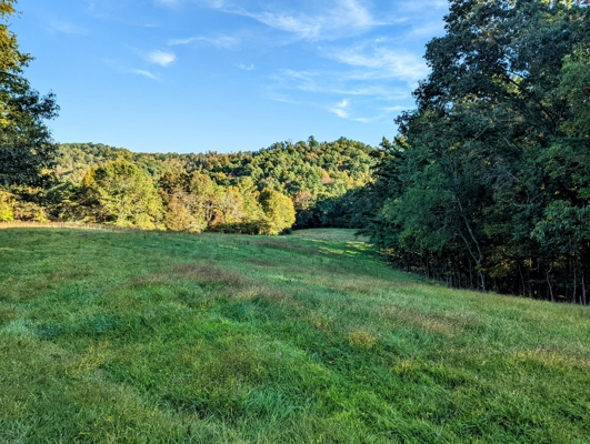 Open Land for Sale in Pilot VA