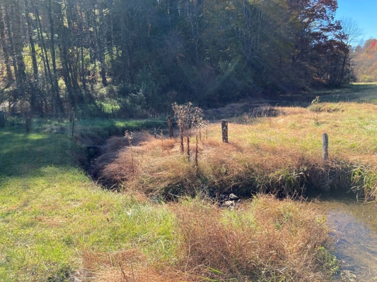 Open Land for Sale in Pilot VA