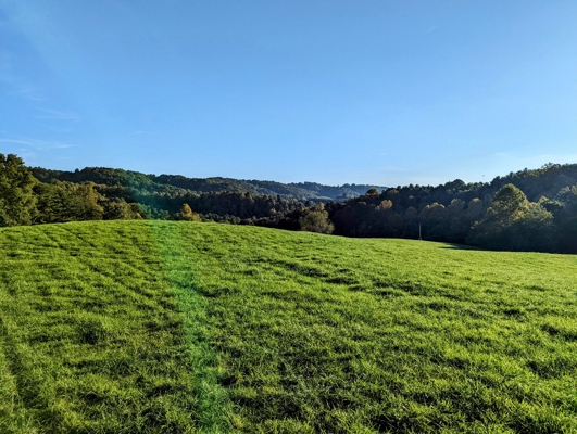 Open Land for Sale in Pilot VA