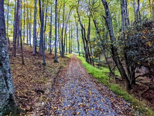 Open Land for Sale in Pilot VA