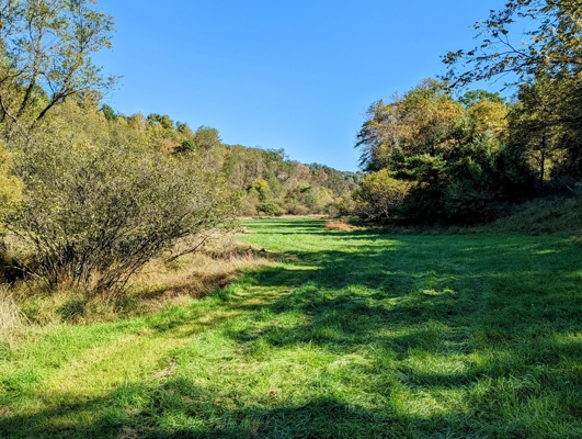 Open Land for Sale in Pilot VA