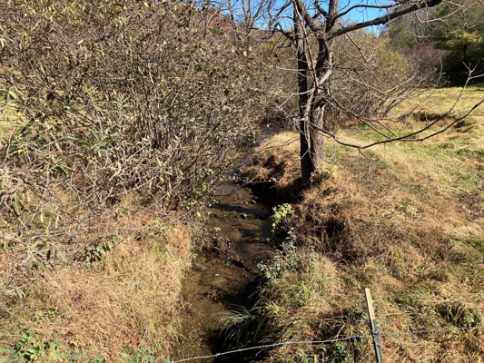 Open Land for Sale in Pilot VA