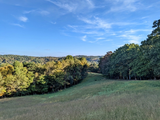 Open Land for Sale in Pilot VA