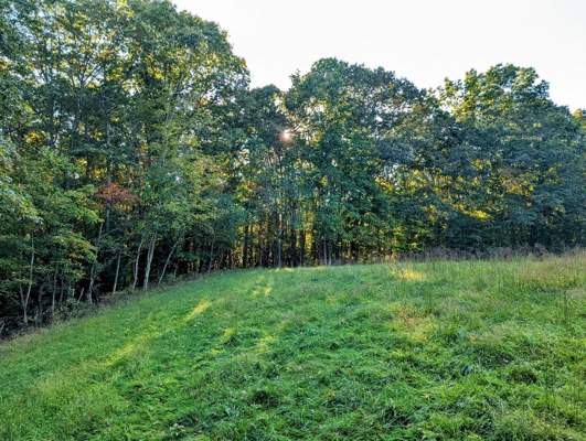 Open Land for Sale in Pilot VA