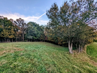 Land for Sale in Pilot VA - image 38