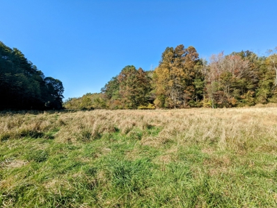 Land for Sale in Pilot VA - image 46