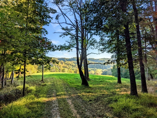 Open Land for Sale in Pilot VA