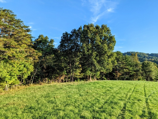 Open Land for Sale in Pilot VA