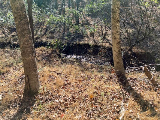 Open Land for Sale in Pilot VA