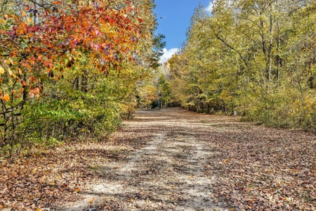 Country Home for Sale in Lawrence County, Tennessee - image 3