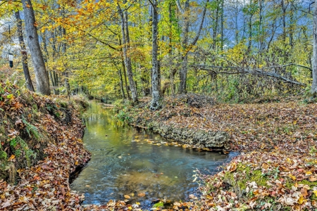 Country Home for Sale in Lawrence County, Tennessee - image 43