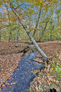 Country Home for Sale in Lawrence County, Tennessee - image 44