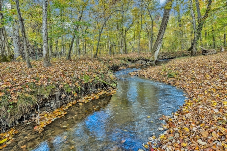 Country Home for Sale in Lawrence County, Tennessee - image 42