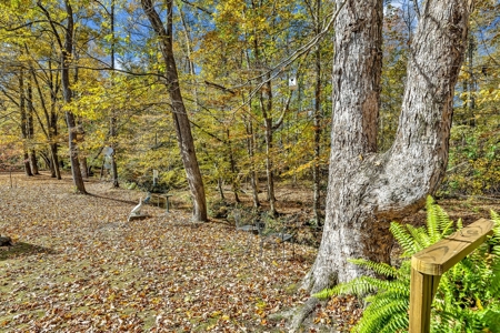 Country Home for Sale in Lawrence County, Tennessee - image 40